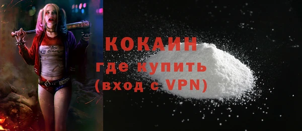 стаф Абинск