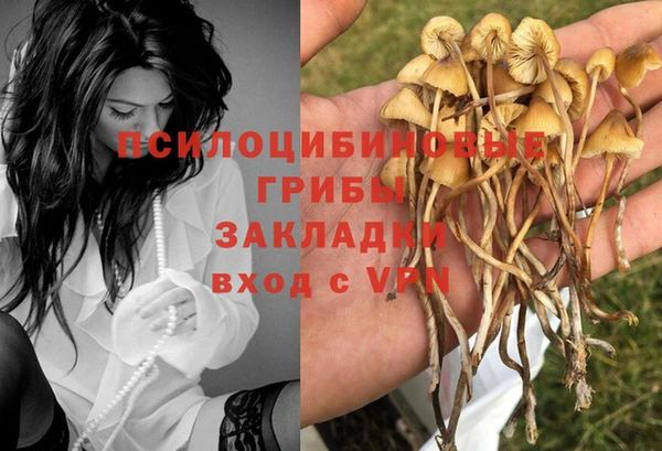 стаф Абинск