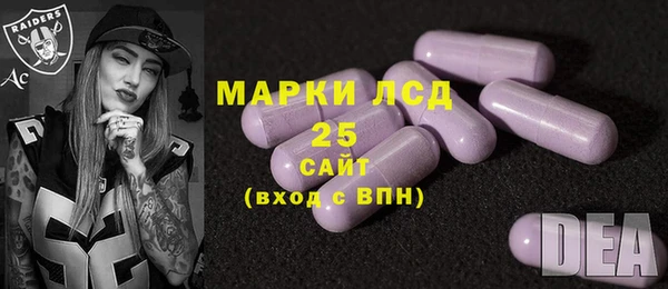 стаф Абинск